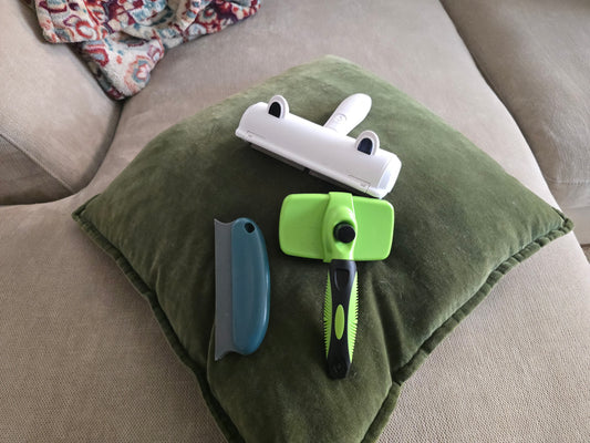 The Full Shed Kit — Roller + Brush + Detailer