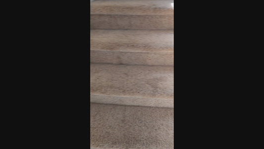 Carpet & Car Pet Hair Detailer